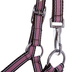 Kantar dla źrebaka Kavalkade