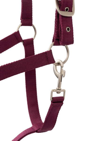 Kantar z uwiązem HORZE Eternal Gaze