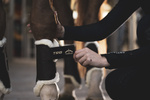 Ochraniacze treningowe Veredus TRB Save The Sheep - przody