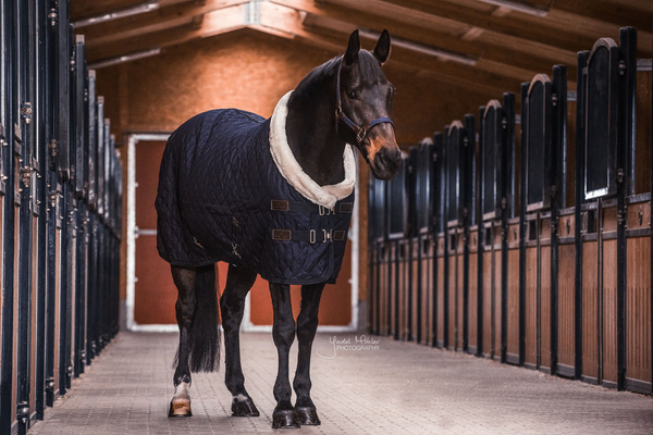 Derka stajenna Kentucky Horsewear Show Rug Logo 160g