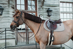 Czaprak wszechstronny Kentucky Horsewear Classic