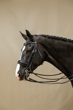 Ogłowie munsztukowe z nachrapnikiem szwedzkim Dy'on Working Collection WOECAS