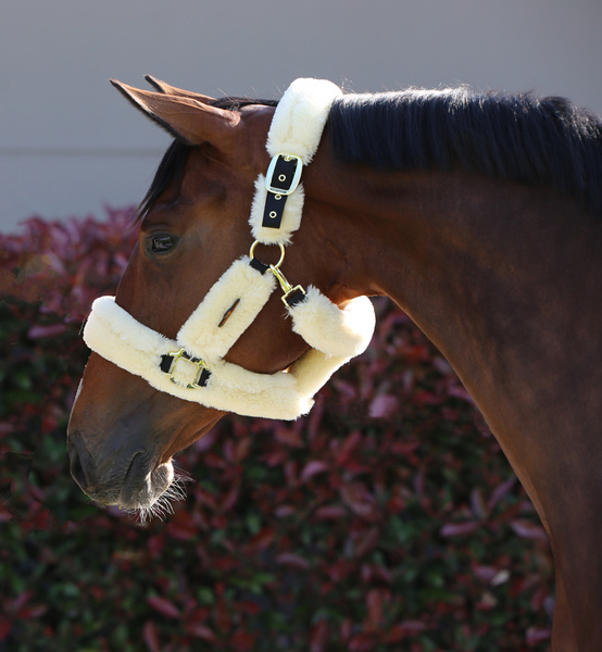 Kantar obszyty w całości syntetycznym futrem Kentucky Horsewear Sheepskin Shipping