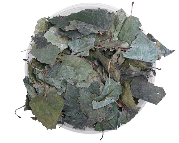 Brzoza liść EQUIHERBS