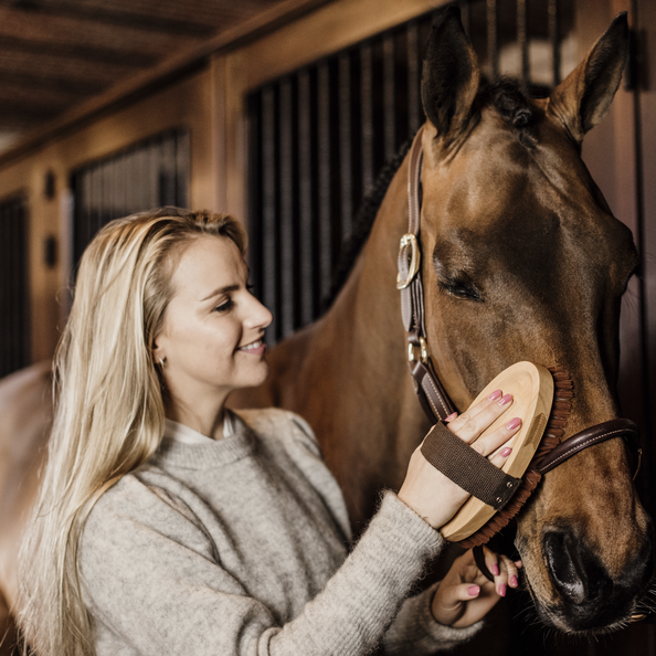 Szczotka do sierści Grooming Deluxe Overall Soft