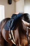 Pokrowiec na siodło skokowe Kentucky Horsewear Waterproof