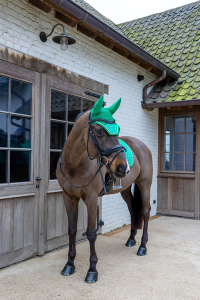 Nauszniki klasyczne Kentucky Horsewear Velvet Horse Printing