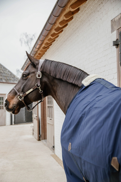 Derka bawełniana Kentucky Horsewear Cotton Sheet