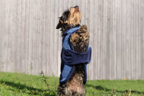 Derka polarowa dla psa EQUITHÈME Confortec