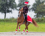 Owijki świąteczne QHP Christmas