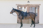Czaprak ujeżdżeniowy Kentucky Horsewear Metal Chain