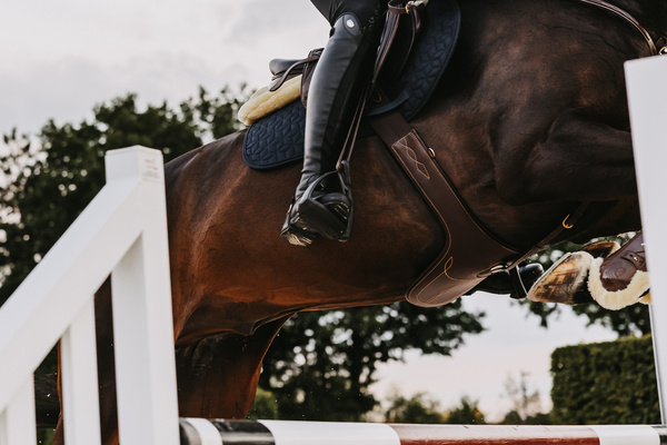 Popręg z fartuchem Kentucky Horsewear