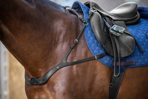 Napierśnik z mostkiem Dy'on New English Collection NE06B