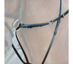 Wodze Thiedemanna Kavalkade