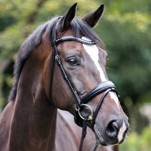 Ogłowie z nachrapnikiem szwedzkim Kavalkade Mia