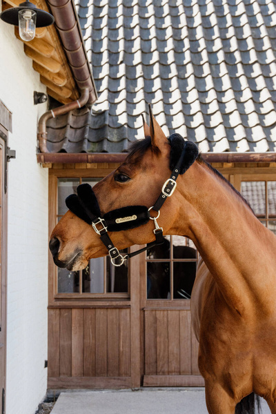 Kantar z futrem syntetycznym Kentucky Horsewear Nylon Sheepskin Halter Soft