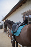 Czaprak ujeżdżeniowy Kentucky Horsewear Melange