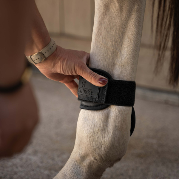 Ochraniacze tylne Kentucky Horsewear Young Horse PRO
