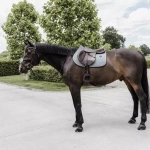 Czaprak skokowy Kentucky Horsewear Classic Leather