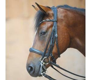 Ogłowie z anatomicznym nachrapnikiem Kavalkade Ivonne Combi