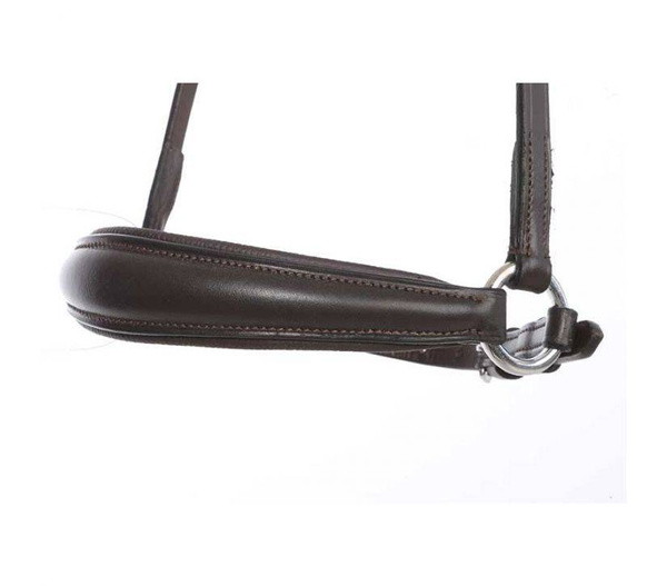 Nachrapnik hanowerski Kavalkade