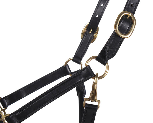 Kantar skórzany QHP Delicate