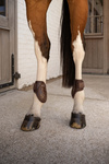 Ochraniacze tylne Kentucky Horsewear Young Horse PRO