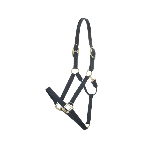 Kantar bezpieczny Kentucky Horsewear Breakaway