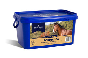 Suplement wspierający układ odpornościowy Dodson & Horrell Echinacea 1kg