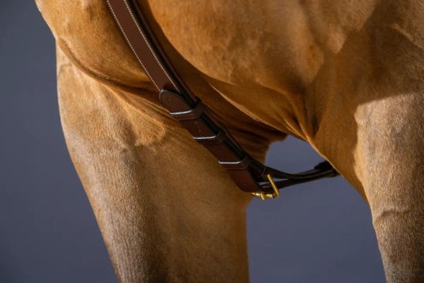 Napierśnik anatomiczny 3-punktowy Dy'on D Collection DY06C