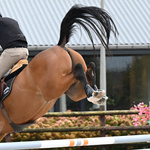 Ochraniacze tylne Veredus Pro Jump Active