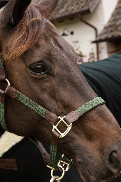 Kantar dla konia Kentucky Horsewear Plaited Nylon