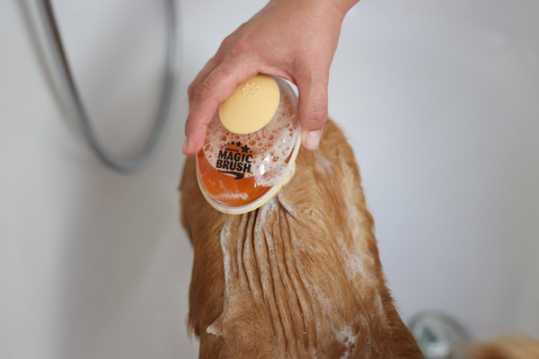 Szczotka do kąpieli dla psa Magic Brush