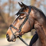 Ogłowie z nachrapnikiem kombinowanym Kavalkade Everyday