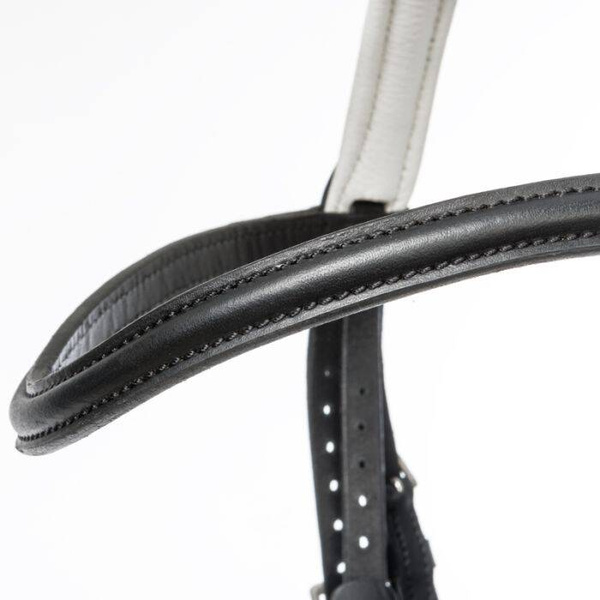 Ogłowie z nachrapnikiem kombinowanym Kavalkade Quentin