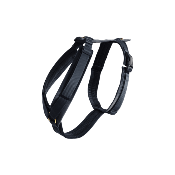 Szelki dla psa Kentucky Dogwear Active Velvet