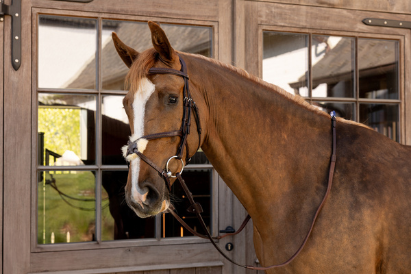 Ogłowie z nachrapnikiem meksykańskim Dy'on New EnglishCollection Plaited NEAOAV