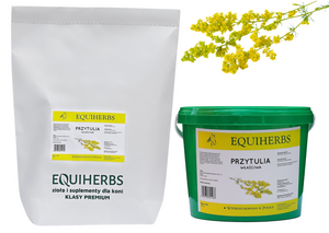 Przytulia właściwa ziele EQUIHERBS