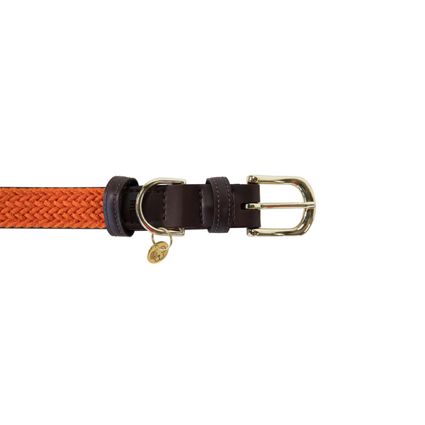 Obroża dla psa Kentucky Dogwear Plaited Nylon