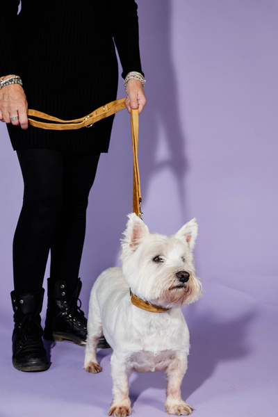 Smycz dla psa Kentucky Dogwear Velvet - 200 cm