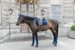 Czaprak ujeżdżeniowy Kentucky Horsewear Velvet Pearls