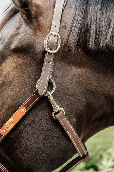 Kantar pielęgnacyjny ze skóry syntetycznej Kentucky Horsewear Leather Halter Flexible