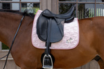 Czaprak ujeżdżeniowy Kentucky Horsewear Unicorn Glitter