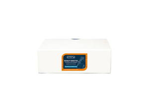 Elektrolity w saszetkach Eclipse Rehalyt Booster 500 g