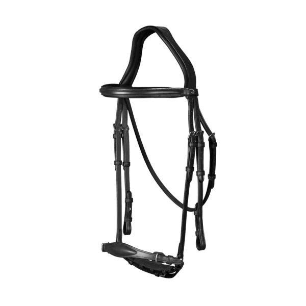 Ogłowie z nachrapnikiem hanowerskim Dy'on New English Collection NEAAAE