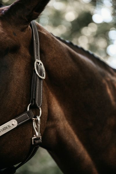 Kantar pielęgnacyjny ze skóry syntetycznej Kentucky Horsewear Leather Halter Flexible