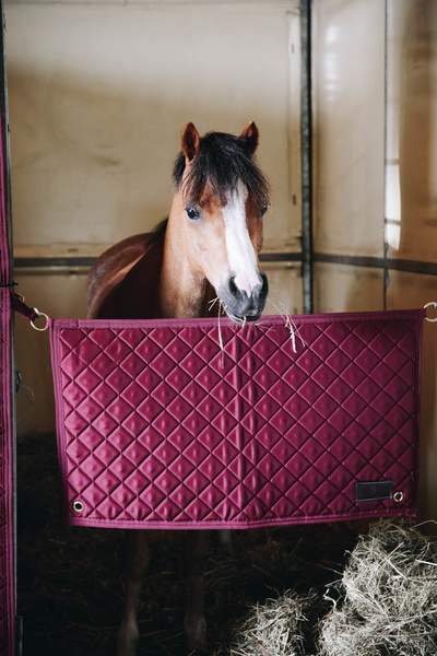 Bramka na boks Kentucky Horsewear Stable Guard