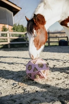 Piłka na siano dla konia Kentucky Horsewear Relax Horse Play & Hay Ball