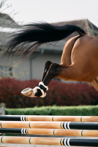Ochraniacze tylne z futrem Kentucky Horsewear Young Horse TPU