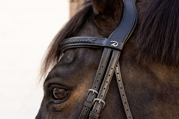 Ogłowie z nachrapnikiem meksykańskim Dy'on New EnglishCollection Plaited NEAOAV